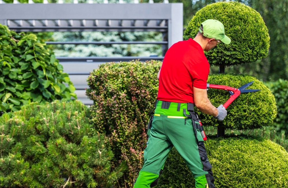 How to Choose the Right Professional Landscaping Company in Louisville, KY